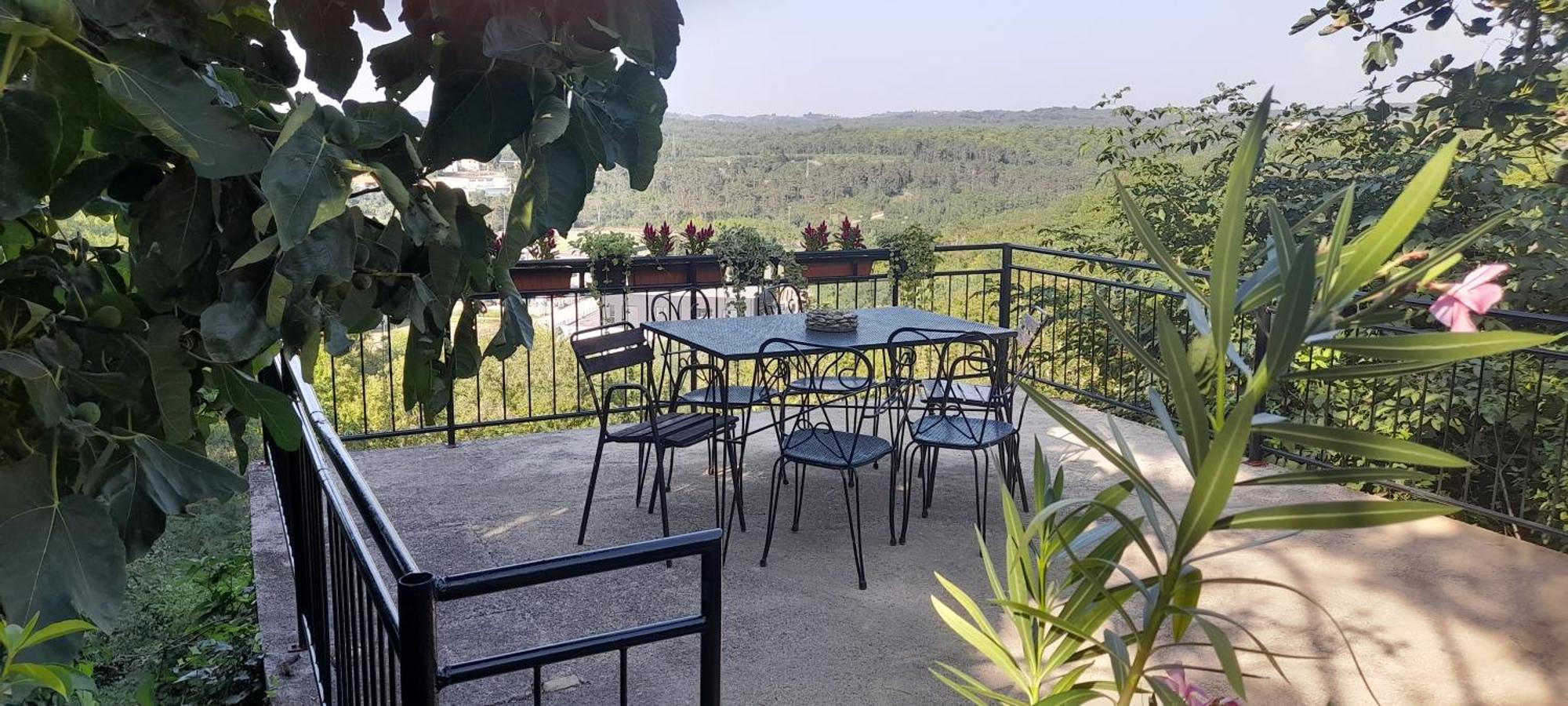 Hortensia Buje Εξωτερικό φωτογραφία